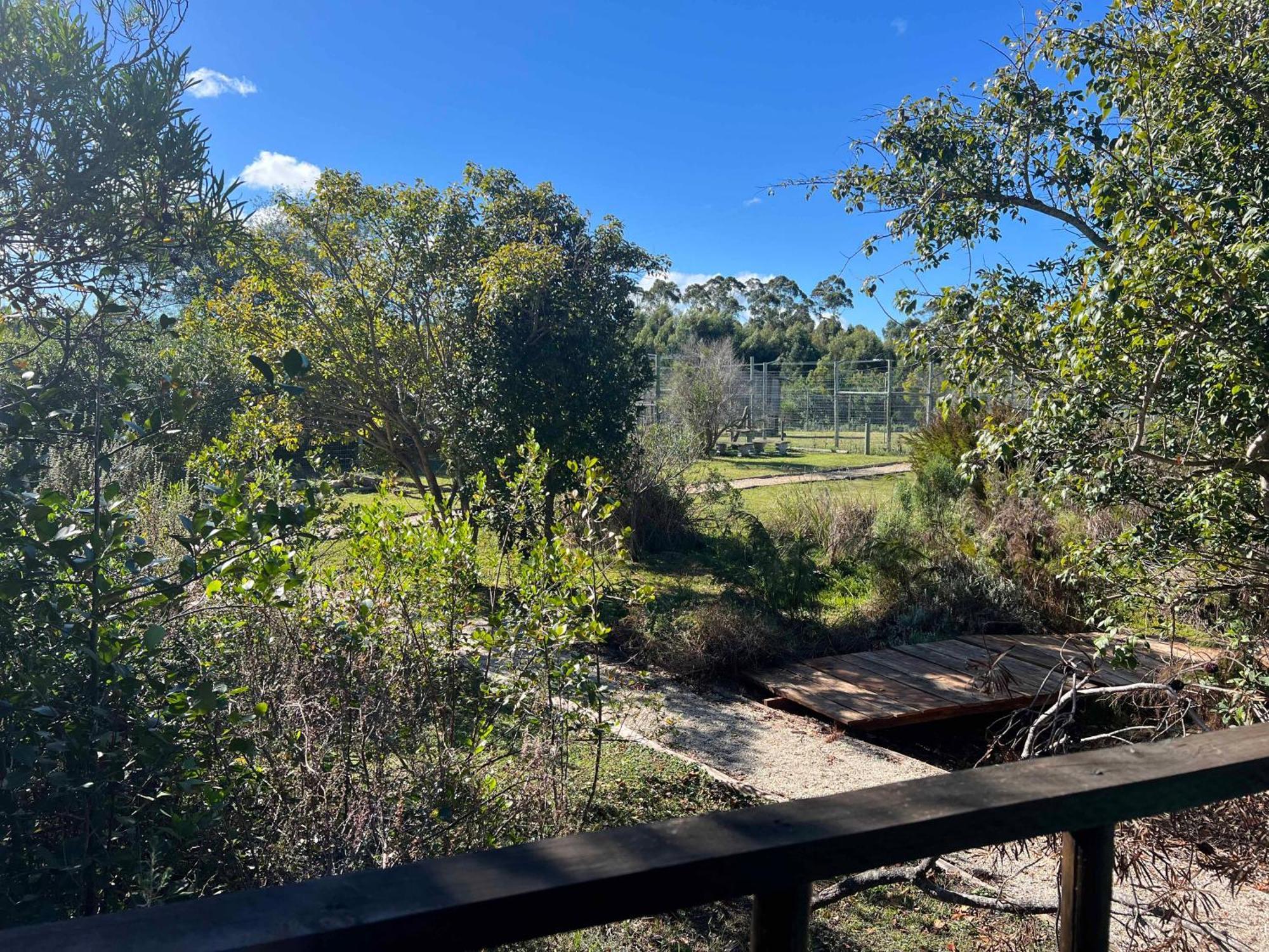 Tenikwa Wildlife Centre & Spa Plettenberg Bay Dış mekan fotoğraf